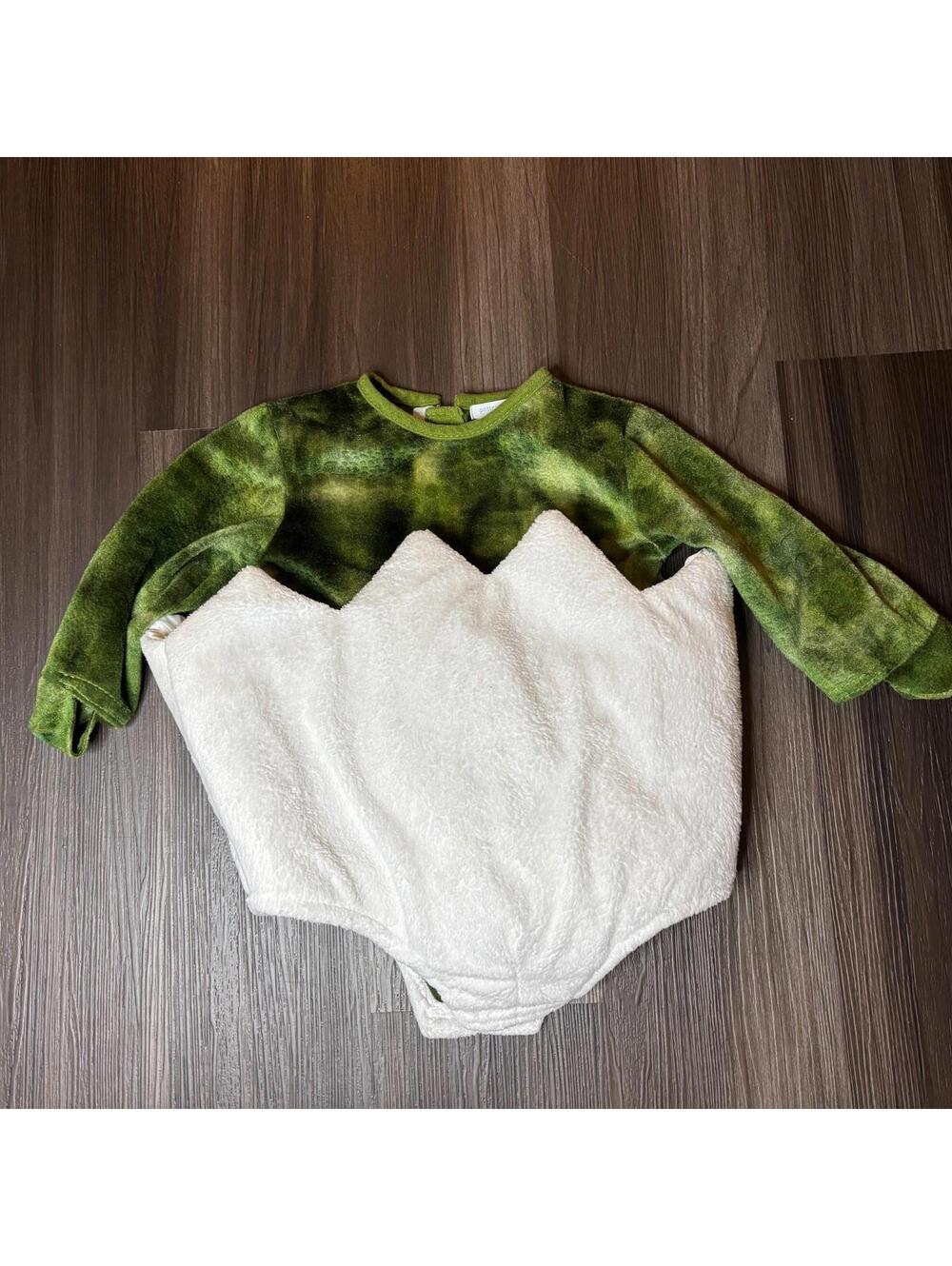 Pottery Barn Kids BABY DINOSAUR Dino EGG Costume Infant Toddler 12-24 Month READ